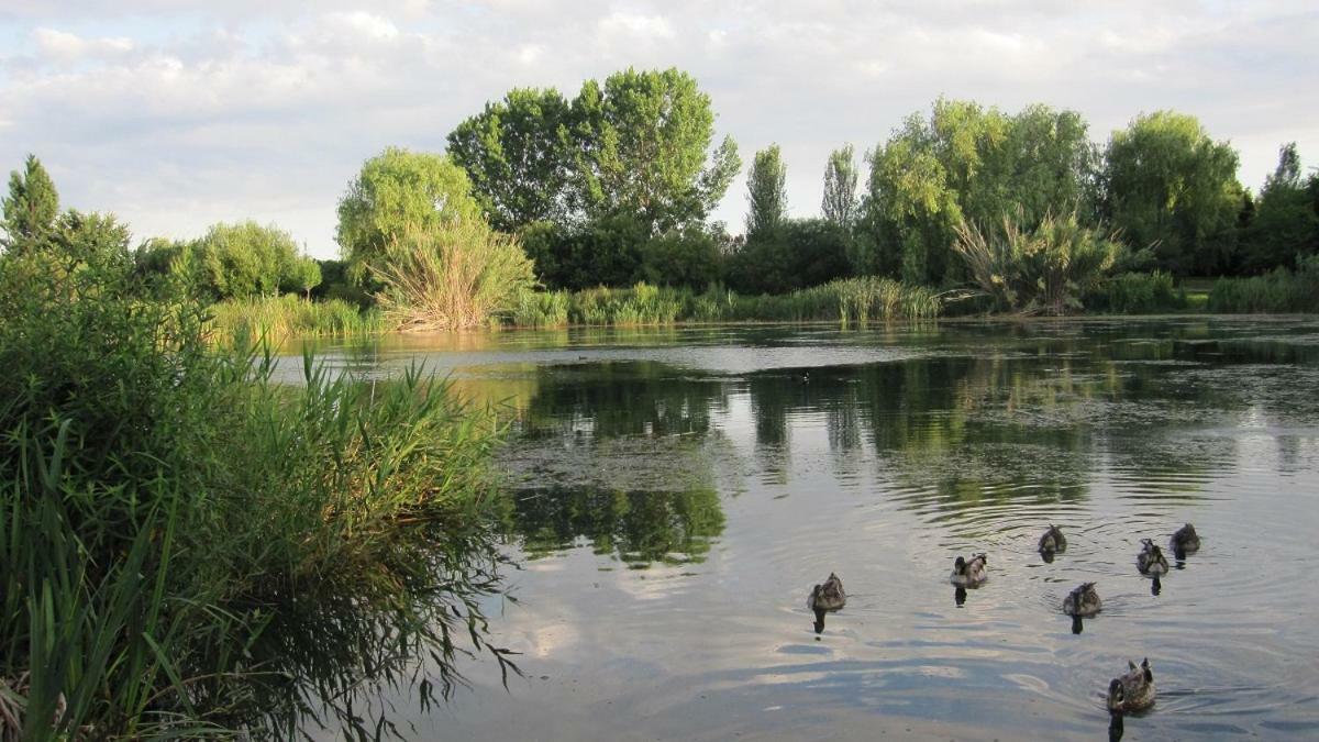 Apartamento Con Piscina Y Parking Daire Gandía Dış mekan fotoğraf